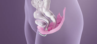 Strengthen Your Pelvic Floor and Kegel Knowledge
