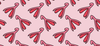 Everything you need to know about the clitoris